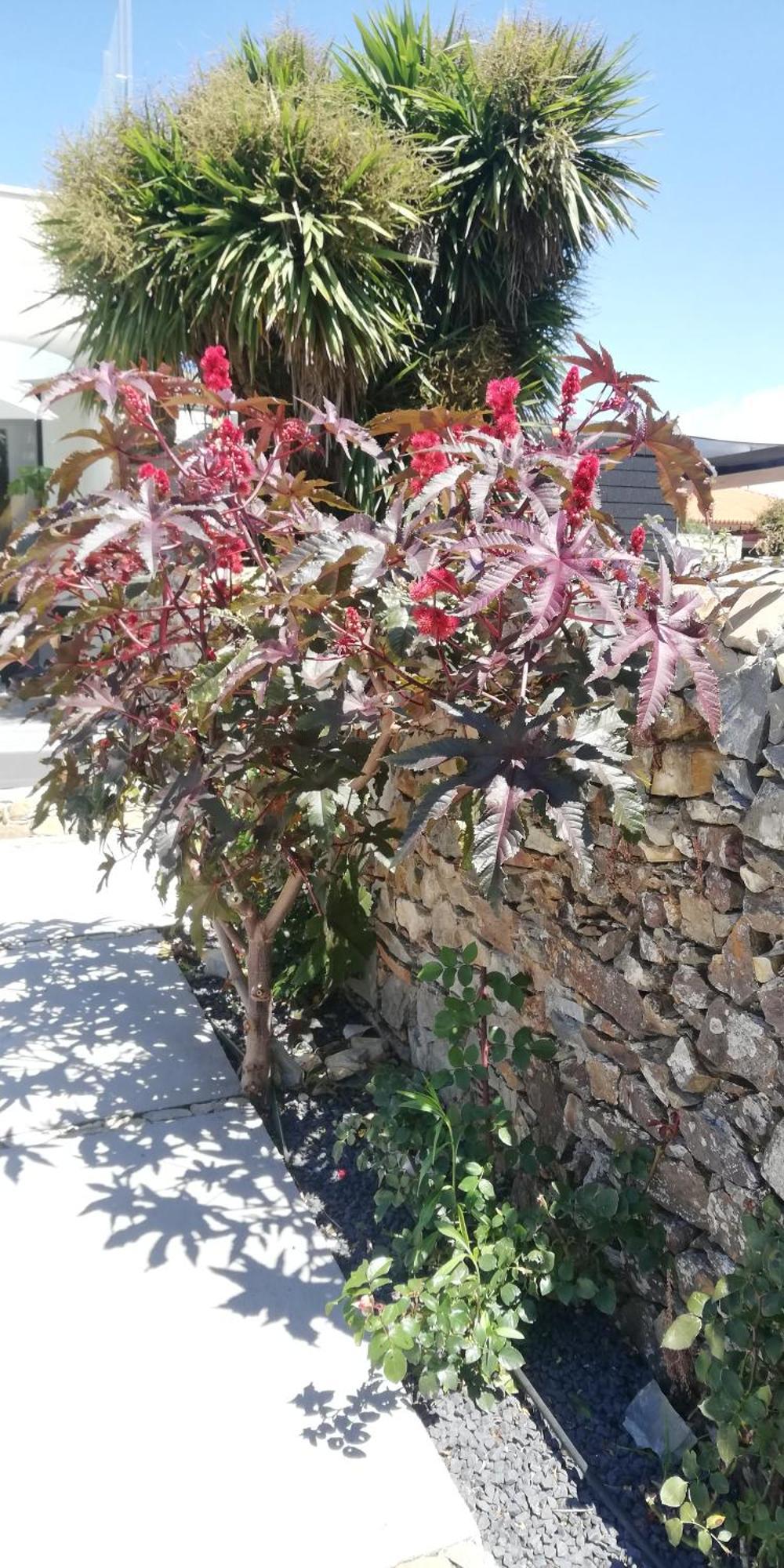 Cantinho D'Avo - Apulia Areia  ภายนอก รูปภาพ